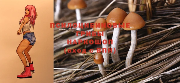 эйфоретик Бугульма