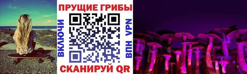 Псилоцибиновые грибы Magic Shrooms  Астрахань 